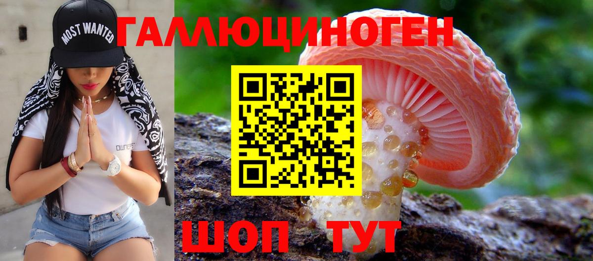 Черногорск  Псилоцибиновые грибы Magic Shrooms  Вход с VPN 